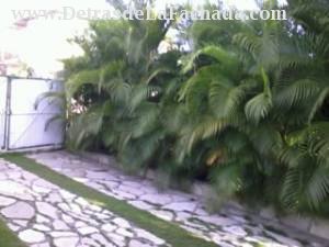 calle 1ra %cardona y maceo cuabitas