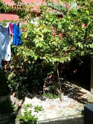 Calvario No. 259 entre Habana y Trinidad