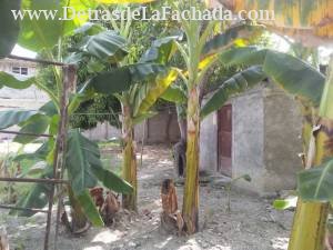 Caseta en el patio para guardar cosas