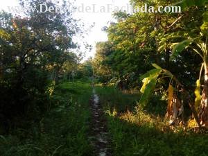 Carrfetera a Camajuaní #374 e/ Obdulio Morales y Libertad