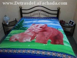 Alemán #263 entre San Miguel y Nazareno