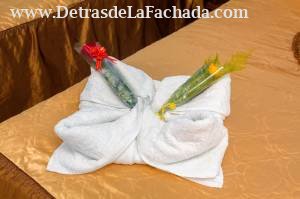 Colòn 225 entre E.P.Morales y Serafìn Garcìa.