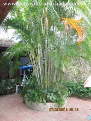 Inner courtyard and the parlor window.