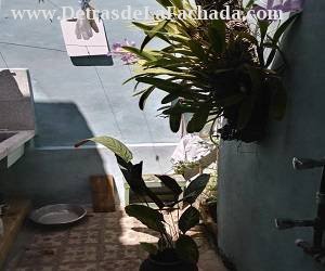 Calle Nazareno 159 e/ Aleman y Central