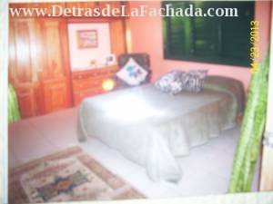 Entre Palomino y Central