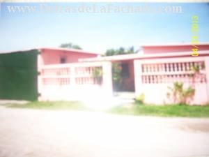 Entre Palomino y Central