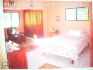 Entre Palomino y Central