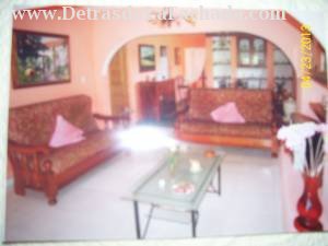 Entre Palomino y Central