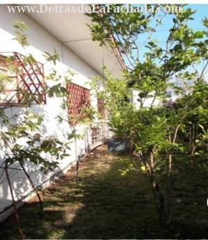 Jardín lateral derecho