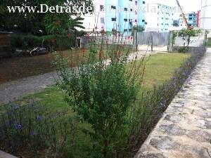 Entrada para coches y entrada principal de la casa