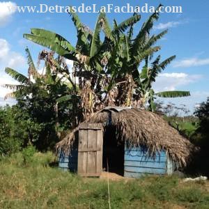 Km 11 carretera de La Coloma