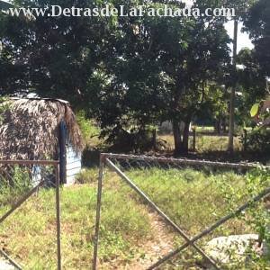 Km 11 carretera de La Coloma