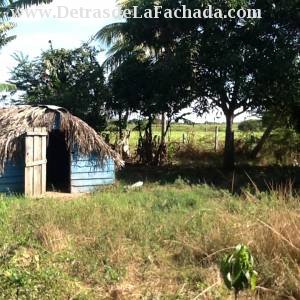Km 11 carretera de La Coloma