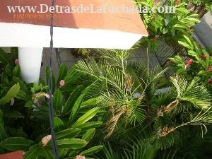 Calle 12, N° 304, entre 11 y 13