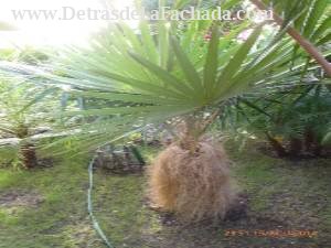 Calle 12, N° 304, entre 11 y 13