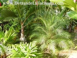 Calle 12, N° 304, entre 11 y 13