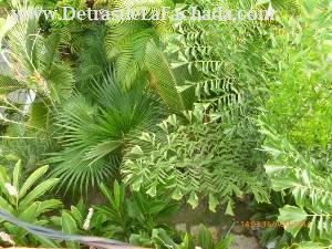 Calle 12, N° 304, entre 11 y 13