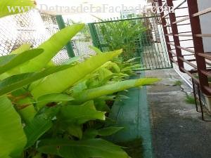 Calle 12, N° 304, entre 11 y 13