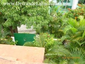 Calle 12, N° 304, entre 11 y 13