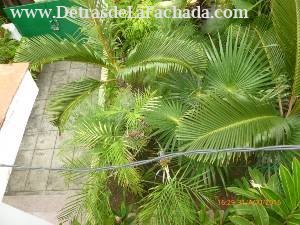 Calle 12, N° 304, entre 11 y 13