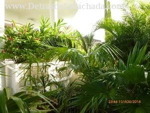 Calle 12, N° 304, entre 11 y 13