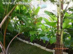 Calle 12, N° 304, entre 11 y 13