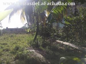 5ta Aveneu # 3 entre Street A  and Carretera Antonio Finalet