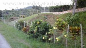 km 9 carretera Soroa