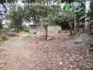 CALLE 176 NO 40302 INT ENTRE 403 Y 405 NUEVA AURORA,