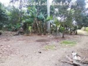 CALLE 176 NO 40302 INT ENTRE 403 Y 405 NUEVA AURORA,