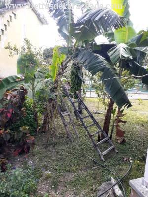 Calle Carlos Nuñez No.12002, entre las calles 13 y Corta, Reparto Residencial Aldabó