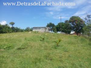 Finca almentero Canasi