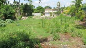 Photo from the fonde