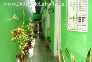 Oscar Primelles (San Esteban) No. 310 A entre Bartolomé Maso (San Fernando) y Padre Olallo (Pobre)