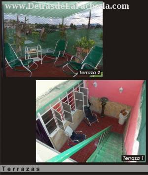 Some terraces of the two plants