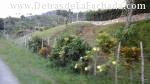 Finca en venta en Artemisa