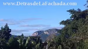 Inmueble Jn6dftPzggKQTK1