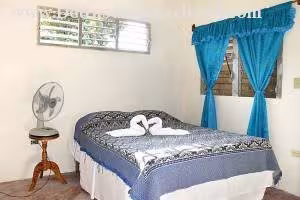 Inmueble qy5pIwL8Ncughhw