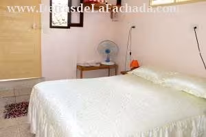 Inmueble vMx8V4mwuJobCGW