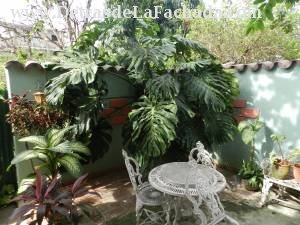 Inmueble sHQSsbI4kW5eGhY