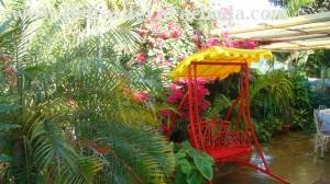 Inmueble XRXu6Cdn5z36Qh2