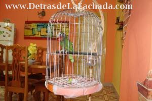 Inmueble eULMSvpBs4J2ZYA