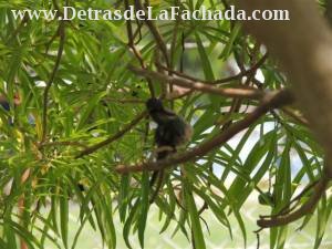 Inmueble pbKA3o5sJ7oZL34
