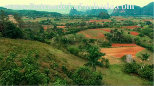 Inmueble uKzm6vzWjmkUFM5