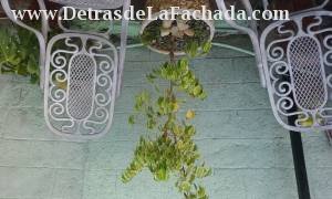 Inmueble VSLJQgaUzxnfyQv