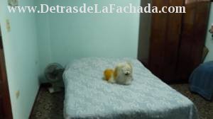 Inmueble OhFJBKlElCwOMlR