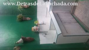 Inmueble wYUrpsFhQZgp1wa