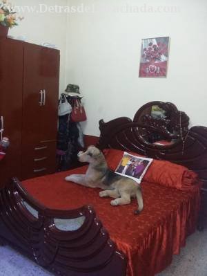 Inmueble DqvM7aHLoMe49Mu