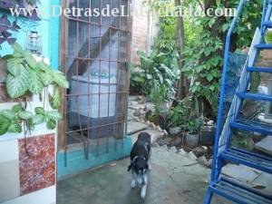 Inmueble dpMrPxY55KF3IQf