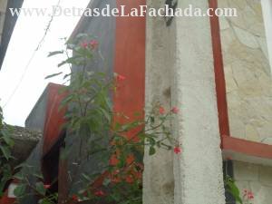 Inmueble jJyiBJqiJvT6G5x